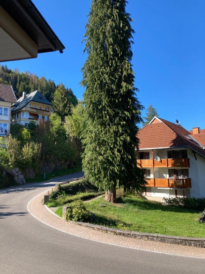 Haus Sonne Apartamento Todtmoos Exterior foto